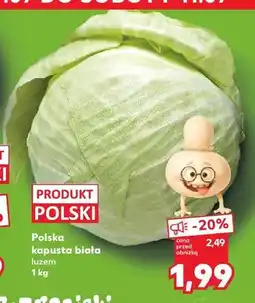 Kaufland Kapusta biała polska oferta