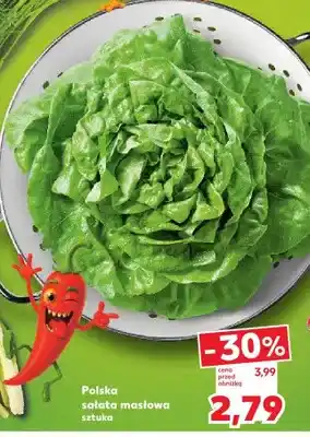 Kaufland Sałata masłowa polska oferta