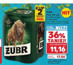 Kaufland Piwo Żubr 4-pak oferta