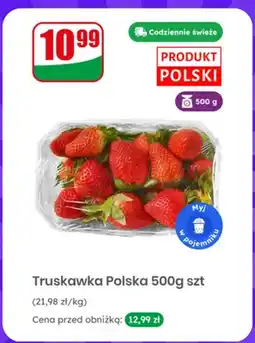 Dino Truskawka polska oferta