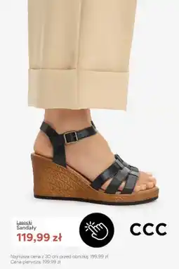CCC Sandały Lasocki oferta