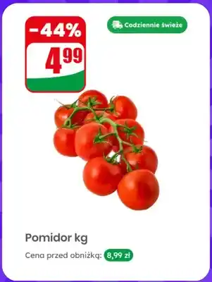 Dino Pomidor oferta