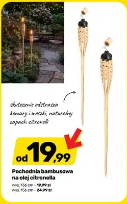 Bricomarche Pochodnia bambusowa na olej citronella wys. 156 cm oferta