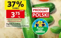 Auchan Ogórki krótkie Auchan Pewni Dobrego polskie oferta