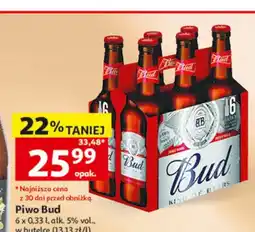 Auchan Piwo Bud 6-pak oferta