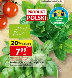 Auchan Bio mięta XXL Auchan Pewni Dobrego polska oferta