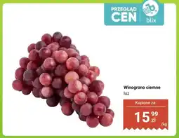 Dino Winogrono ciemne luz oferta
