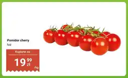 Dino Pomidor cherry luz oferta