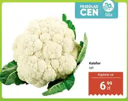 Dino Kalafior oferta