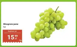 Dino Winogrono jasne luz oferta