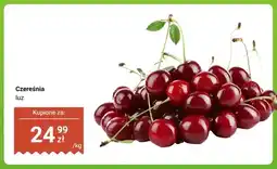 Dino Czereśnia luz oferta