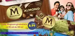Hale Banacha Lody Magnum oferta
