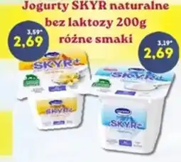 Hale Banacha Jogurty SKYR naturalne bez laktozy oferta