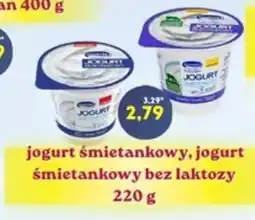 Hale Banacha Jogurt Śmietankowy oferta
