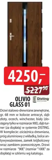 DDD Drzwi OLIVIO GLASS 01 oferta