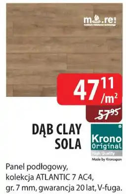DDD Dąb Clay Sola oferta
