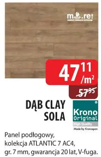 Dąb Clay Sola