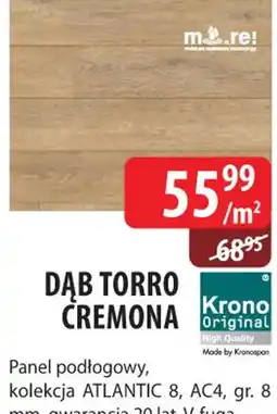 DDD Dąb Torro Cremona oferta