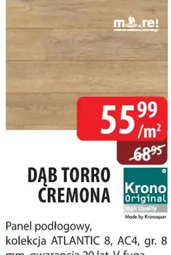 Dąb Torro Cremona