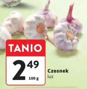 Intermarche Czosnek luz oferta