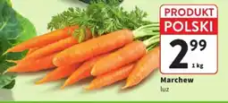 Intermarche Marchew luz oferta