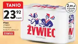 Intermarche Piwo ŻYWIEC Premium oferta