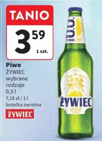 Intermarche Piwo ŻYWIEC wybrane rodzaje oferta