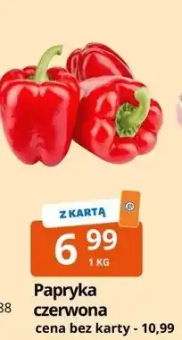 E.Leclerc Papryka czerwona oferta
