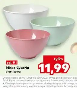 Kaufland Miska Cykoria plastikowa, poj oferta