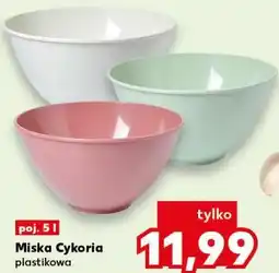 Kaufland Miska Cykoria plastikowa oferta