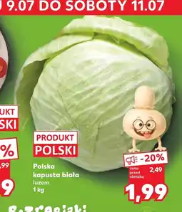 Kaufland Kapusta biała Polski oferta