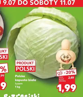 Kaufland Kapusta biała Polski oferta