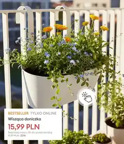 Sinsay Wisząca doniczka oferta