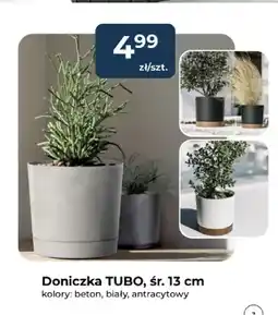 Mrówka Doniczka Tubo śr. 13 cm oferta