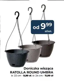 Mrówka Doniczka wisząca Ratolla Round Umbra śr. 22 cm oferta