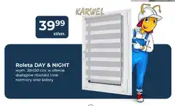 Mrówka Roleta Day & Night Karwel oferta