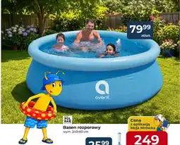 Mrówka Basen rozporowy Polgar Avenli oferta