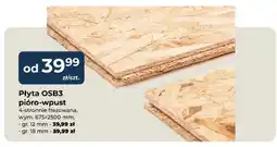 Mrówka Płyta OSB3 pióro-wpust 18 mm oferta