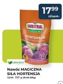 Mrówka Nawóz Magiczna Siła Hortensja Substral oferta