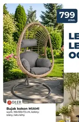 Mrówka Bujak kokon Oler Garden MIAMI oferta