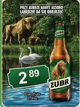 Eden Piwo Żubr oferta
