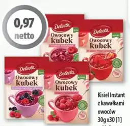 DUO-TES Delecta Owocowy kubek oferta