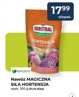 Mrówka Nawóz MAGICZNA SIŁA HORTENSJA oferta