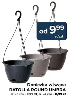 Mrówka Doniczka wisząca RATOLLA ROUND UMBRA oferta