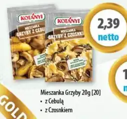 DUO-TES Mieszanka Grzyby z Cebułą oferta