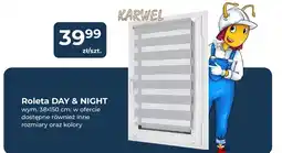 Mrówka Roleta DAY & NIGHT oferta
