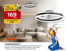 Mrówka Lampowentylator oferta