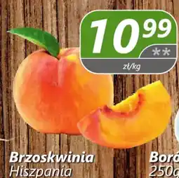 Społem Brzoskwinia Hiszpania oferta