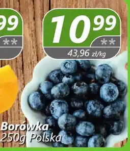 Społem Borówka oferta