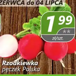 Społem Rzodkiewka pęczek Polska oferta